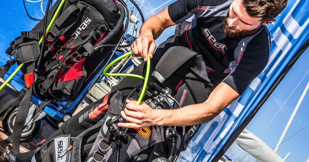 14 of the Best BCDs in 2022 #scuba #scubadiving #freediving #ocean #underwater