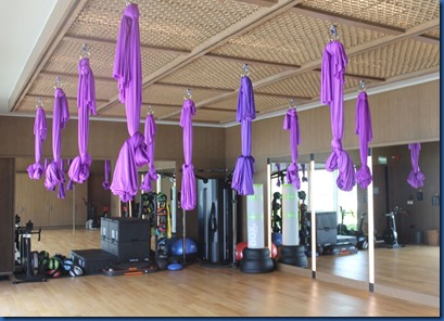 Best of the Maldives: Aerial Silks – Ritz-Carlton Maldives #scuba #scubadiving #freediving #ocean #snorkeling #buceo Ritz-Carlton Maldives - aerial silks