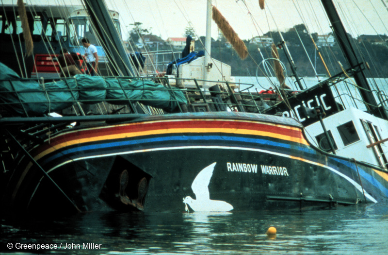 The wreck of the Rainbow Warrior off the coast of New Zealand, Matauri Bay, Northland, covered by corals. The Rainbow Warrior was bombed by French government agents just before midnight on 10 July 1985. (courtesy Greenpeace)