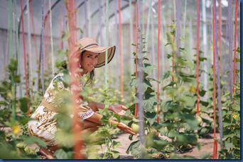 Sun Siyam Iru Veli - garden islands 3